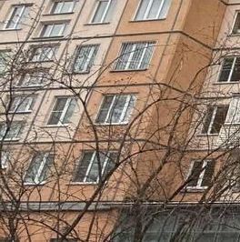 Продажа 2-комн квартиры на вторичном рынке Пискаревский пр-кт, д. 16 Продажа 2-комн квартиры на вторичном рынке Пискаревский пр-кт, д. 16