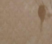 Продать Квартиры вторичка Голубое пгт, проезд Сургутский, 1к2   