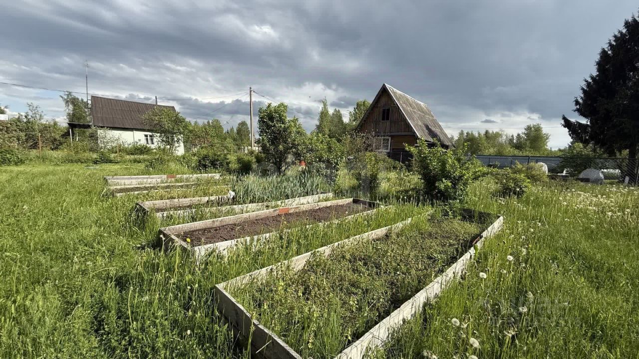 Продажа дома Пупышево садоводческий массив, Сигнал-1 СНТ, 10-я линия, 170