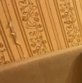 Аренда 2-комн квартиры на вторичном рынке 1-й Ботанический проезд, 3 Аренда 2-комн квартиры на вторичном рынке 1-й Ботанический проезд, 3