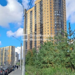 Продажа 1-комн квартиры на вторичном рынке Парголово п, Михаила Дудина ул,  д. 25,  к. 1
