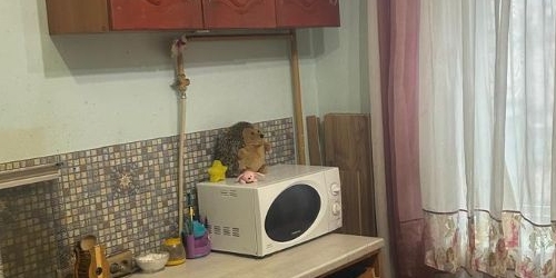 1-комн квартира Пушкин, улица Вячеслава Шишкова, 32/15