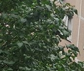 Продать Квартиры вторичка Ключевая улица, 10К2   