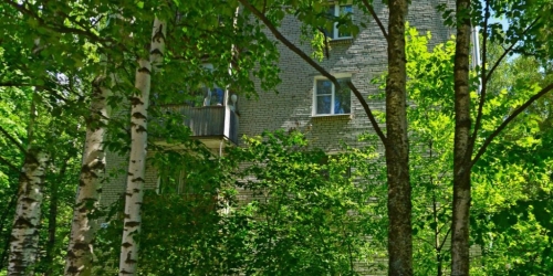 1-комн квартира Петергоф г., Разводная ул. ,  д. 37