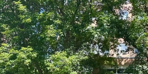 3-комн квартира Большая Грузинская улица, 39