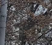 Продать Квартиры вторичка Северный ао, улица 8 Марта, 7/5   