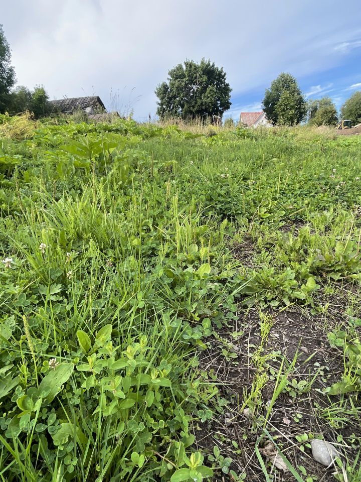 Продажа земли пос. Мысовое, проезд Фермерский