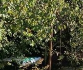 Продать Дачи, коттеджи, загородные дома Факел СПК, 13-я линия, 169   