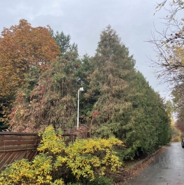 Продажа дома Рождественно, , Одинцово, ул Новая,  д. 26