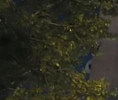 Продать Квартиры вторичка улица Новая Башиловка, 8   