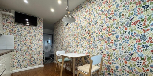 1-комн квартира Академическая Б. ул,  д. 57А