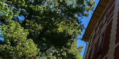 4-комн квартира Политехническая улица, 29к1