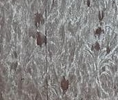 Продать Квартиры вторичка Ломоносов, Ораниенбаумский проспект, 39к2   