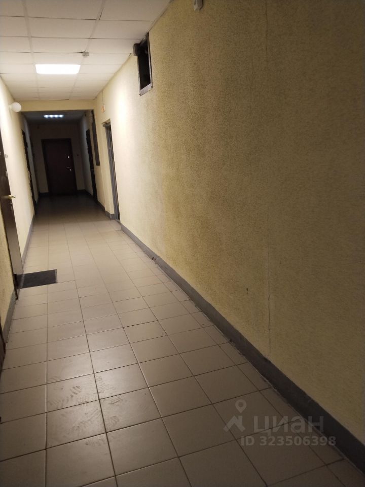 Аренда 1-комн квартиры на вторичном рынке пос. Шушары, Московское шоссе, 246