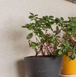 Продажа 1-комн квартиры на вторичном рынке улица Генерала Симоняка, 8К2