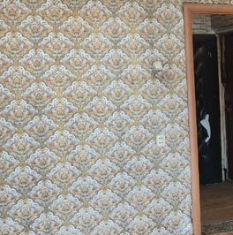 Продажа 3-комн квартиры на вторичном рынке д. Калитино, 20