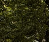 Продать Квартиры вторичка Моховая улица, 10   