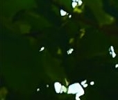 Продать Квартиры вторичка Сабурово пгт, улица Заречная, 5   