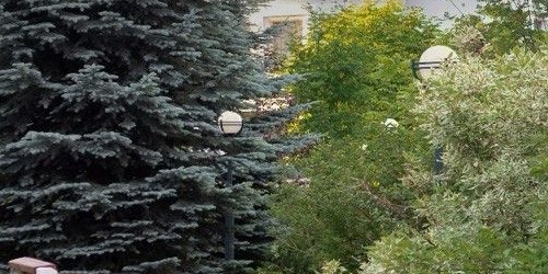 4-комн квартира Морской проспект, 33