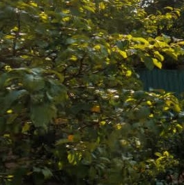 Продажа дома Искра СНТ, улица Прилуговая, д. 51 Продажа дома Искра СНТ, улица Прилуговая, д. 51