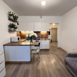 Продажа 2-комн квартиры на вторичном рынке Новогорелово, ул Промышленная,  д. 10/4