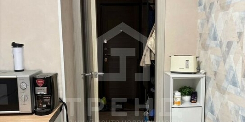 1-комн квартира Просвещения пр-кт,  д. 24/2