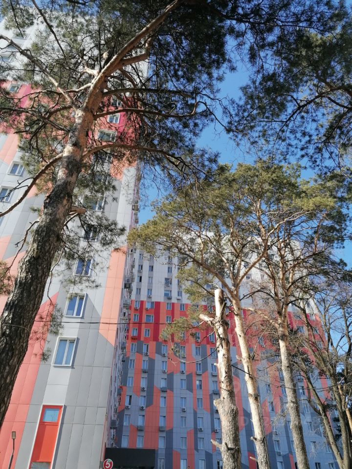 Аренда студии Новоивановское пгт, улица Западная, 85