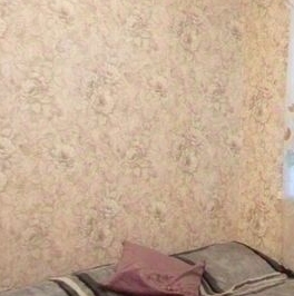 Аренда 1-комн квартиры на вторичном рынке Мамонтовка мкр, Пушкино, Рабочая улица,  д. 2