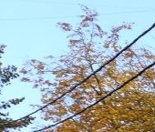 Продать Квартиры вторичка Авиационный мкр, проспект Академика Туполева, 12   