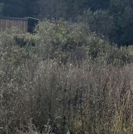 Продажа земли Удачный кп, улица Удачная, д. 35 Продажа земли Удачный кп, улица Удачная, д. 35