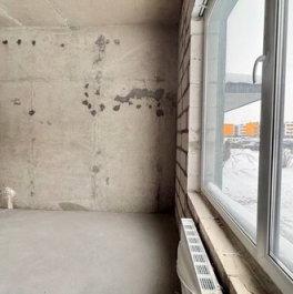 Продажа 1-комн квартиры на вторичном рынке Малое Верево, улица Кутышева,  д. 9 к2