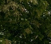 Продать Квартиры вторичка улица Трофимова, 35/20   