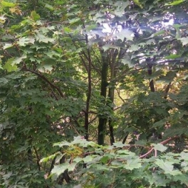 Аренда 2-комн квартиры на вторичном рынке Прядильная 3-я ул,  д. 5