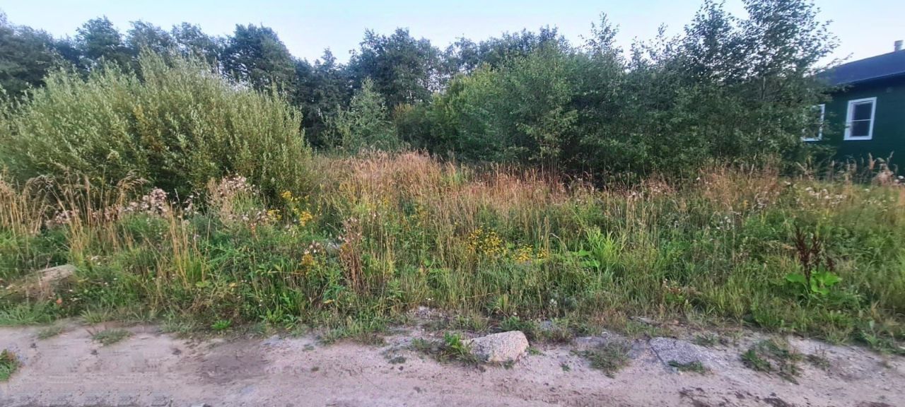 Продажа земли д. Горная Шальдиха, улица Березовая, 39