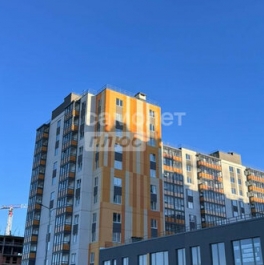 Продажа 2-комн квартиры на вторичном рынке Новоселье, ул Петропавловская,  д. 13