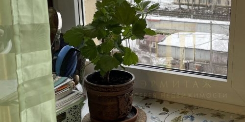 1-комн квартира улица Руставели, 37