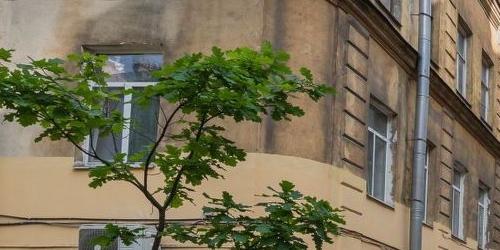 6-комн квартира Загородный проспект, 17