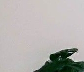 Сдать в аренду Квартиры вторичка проспект Мира, 95   