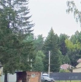 Продажа земли пос. Репино, Цветочная улица