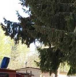 Продажа дома Мшинская садоводческий массив, Строитель-2 СНТ,  д. 173