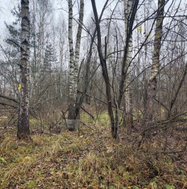 Продажа земли Трошково д., Лесная ул.