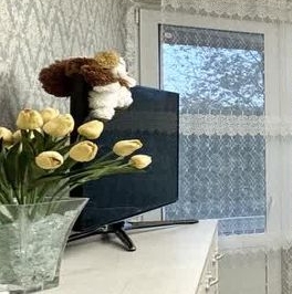 Продажа 3-комн квартиры на вторичном рынке Петергофское шоссе, 5К1