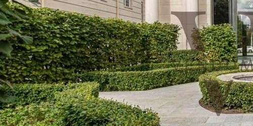 5-комн квартира улица Ефремова, 19к2