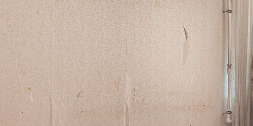 Комната Большая Пушкарская улица, 42