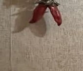 Продать Квартиры вторичка Колпино, Пролетарская улица, 121   