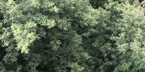 2-комн квартира переулок Обуха, 4