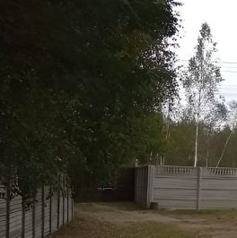 Продажа дома д. Решетниково, улица Рябиновая, 26 Продажа дома д. Решетниково, улица Рябиновая, 26