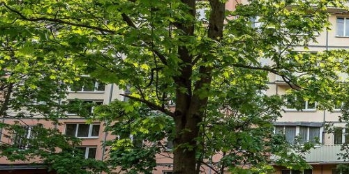 2-комн квартира Полюстровский проспект, 9