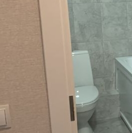 Аренда студии пос. Шушары, улица Нины Петровой, 7к1