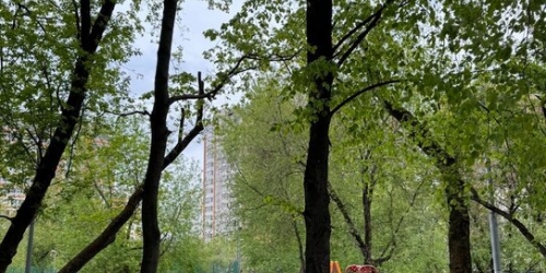 3-комн квартира Новомихалковский 4-й проезд,  д. 6